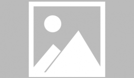 五月视频,捕捉时光流转的美好瞬间